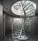 Installation facile préfabriquée d'escalier en spirale d'acier inoxydable avec la balustrade en verre